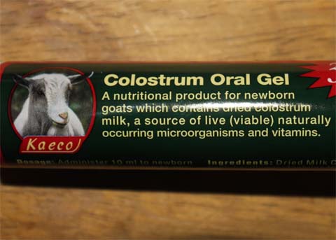 Colostrum Oral Gel